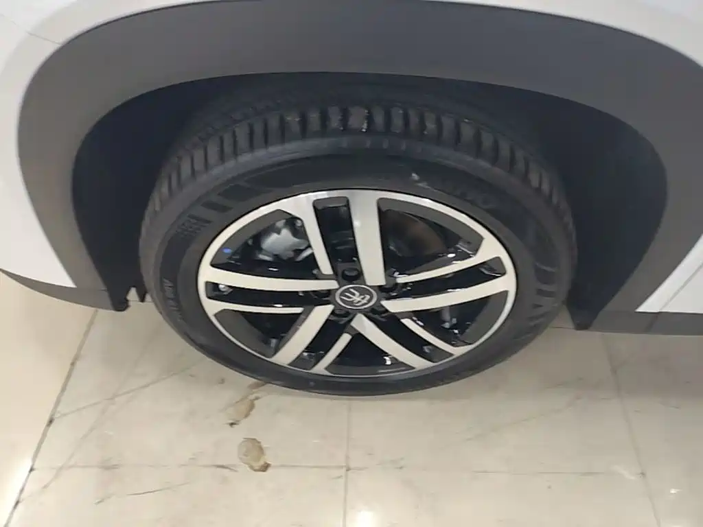 BYD L DM-i 2024 — фото 23
