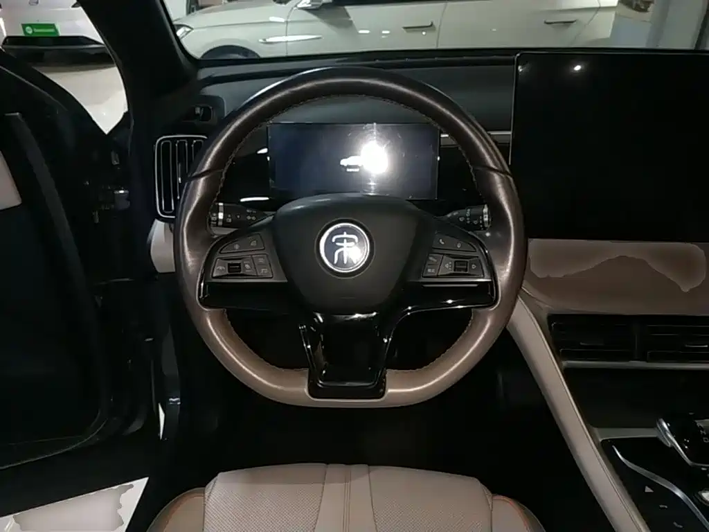 BYD Pro New Energy 2024 — фото 11