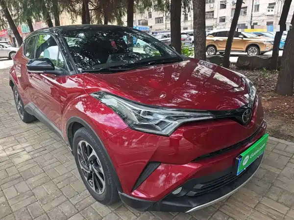 Toyota IZOA 2019