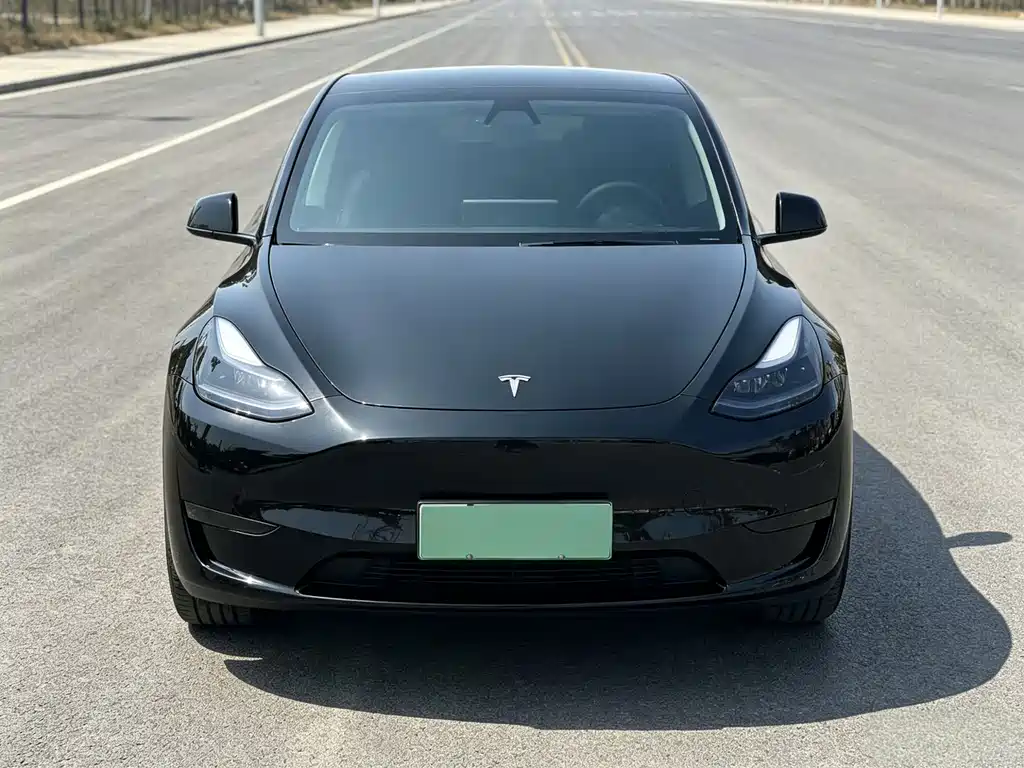 Tesla Model Y 2021 — фото 10