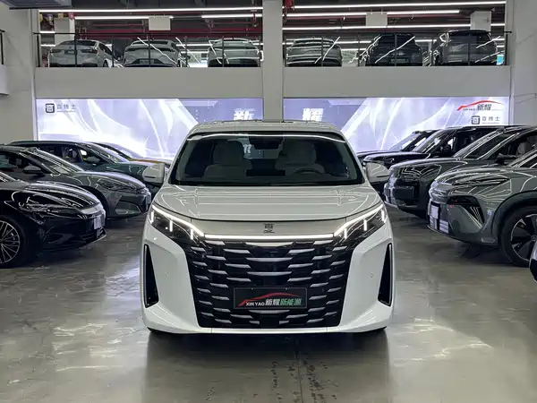 BYD Summer 2025