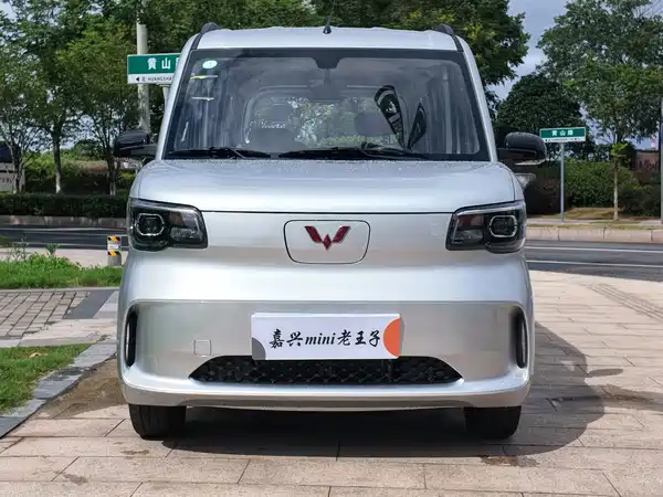 Wuling Zhiguang New Energy 2026