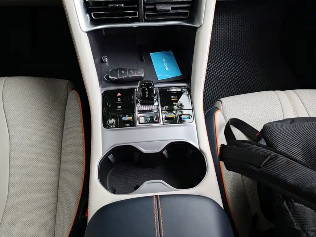 BYD Song PLUS New Energy 2024 — фото 14