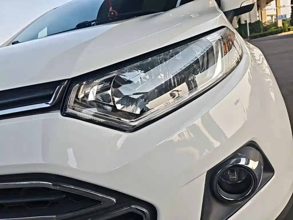 Ford Ecosport 2015 — фото 24
