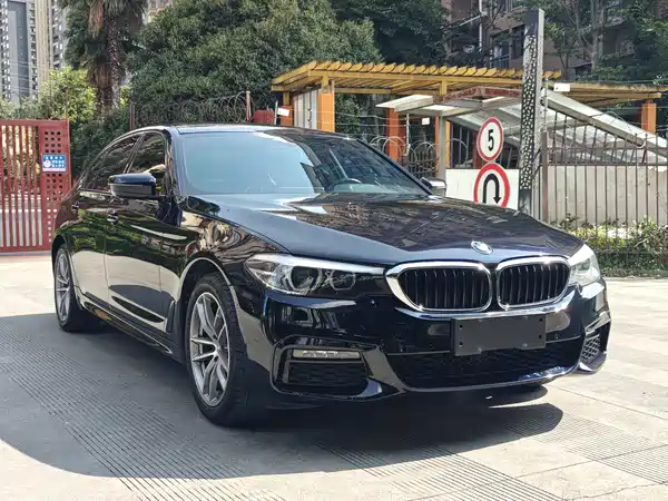 BMW 5 Series 2019
