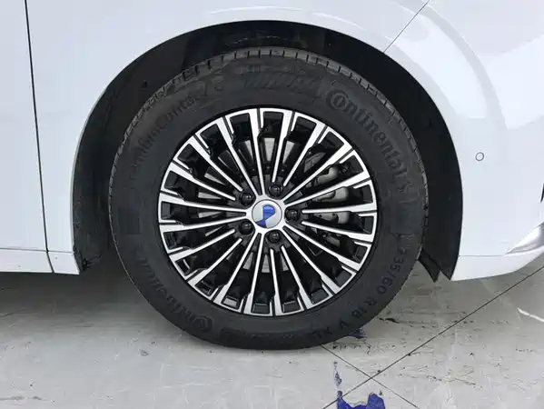 Denza D9 2023