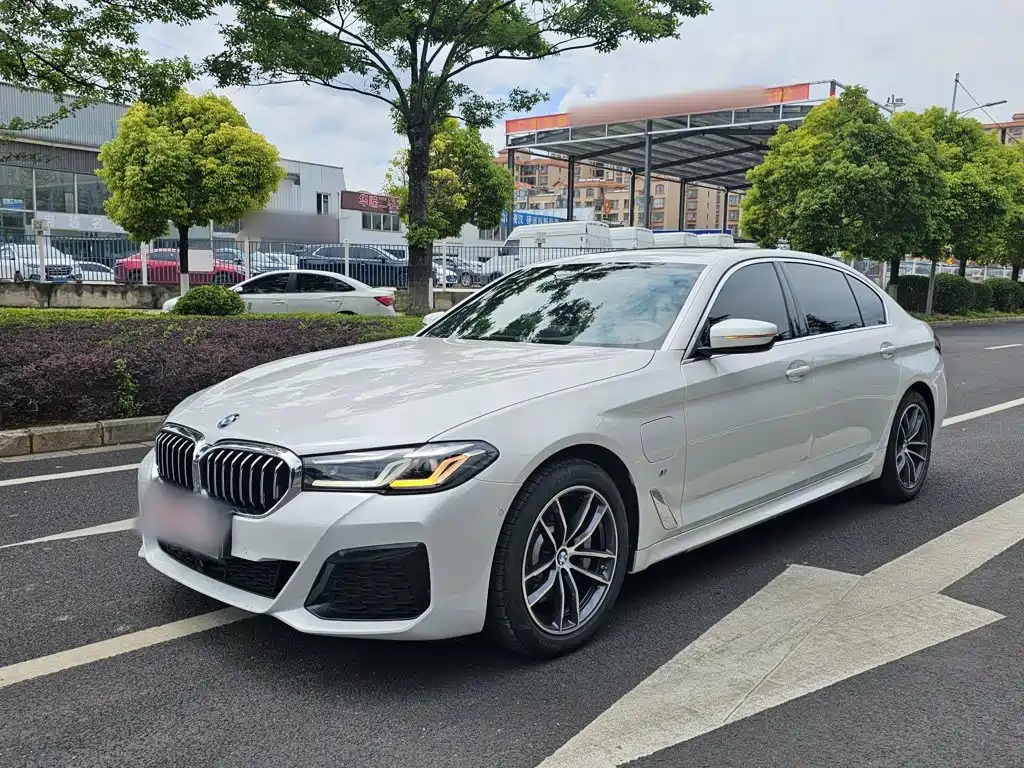 BMW 5 Series New Energy 2021 — фото 1