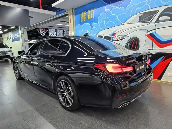 BMW 5 Series New Energy 2021