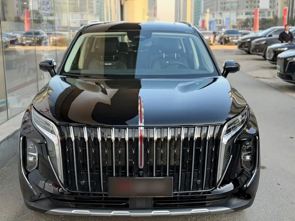 Hongqi HS7 PHEV 2024 — фото 22