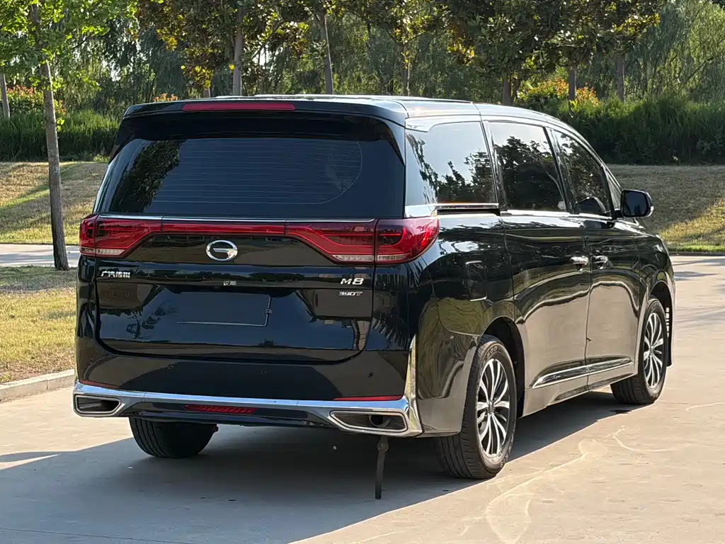 GAC Motor Trumpchi M8 2025 — фото 14