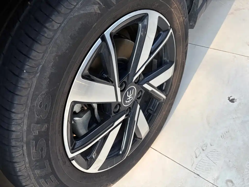 BYD Song Pro New Energy 2024 — фото 4