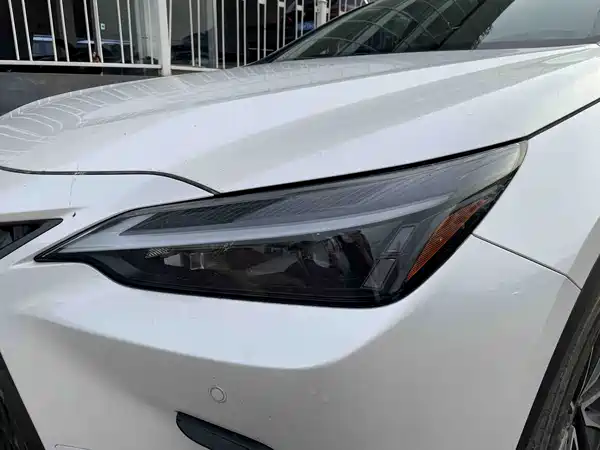 Lexus NX 2022