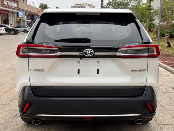 Toyota Wildlander 2020