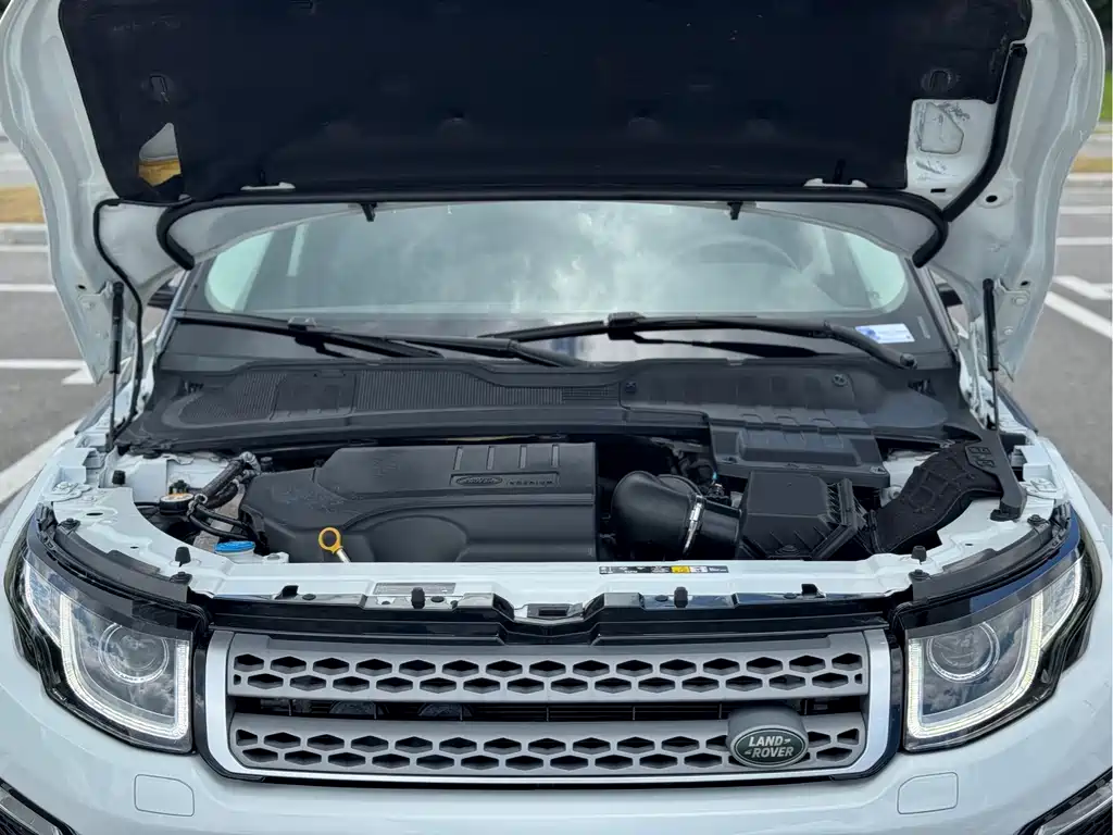 Land Rover Range Rover Evoque 2019 — фото 20
