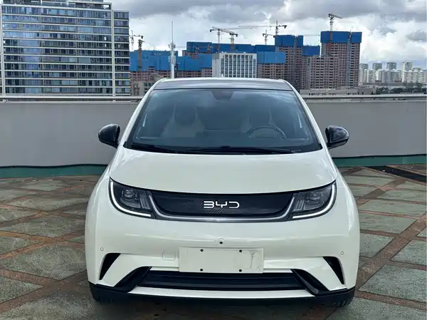 BYD Dolphin 2024