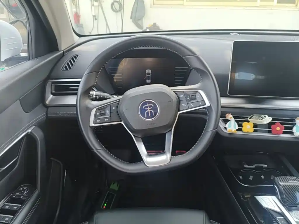 BYD Song Pro New Energy 2020 — фото 11