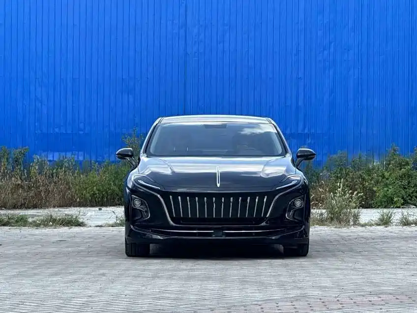 Hongqi E-QM5 2023 — фото 7