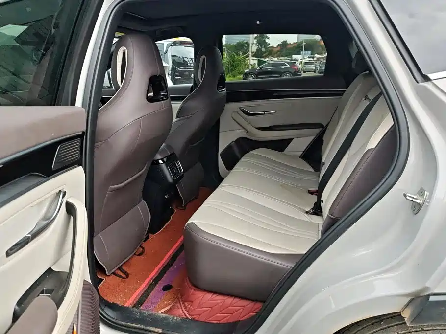 BYD Song PLUS New Energy 2025 — фото 11