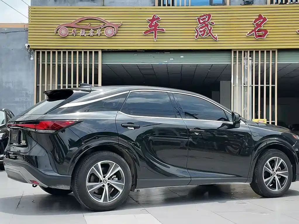 Lexus RX 2024 — фото 11