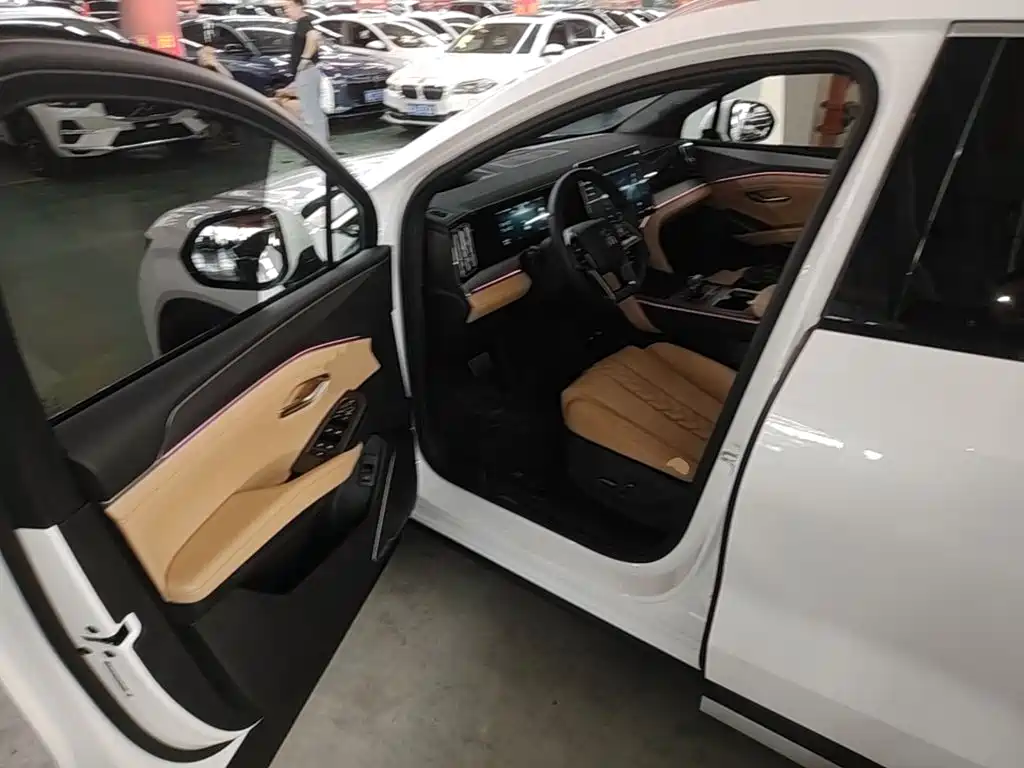 BYD L DM-i 2024 — фото 16