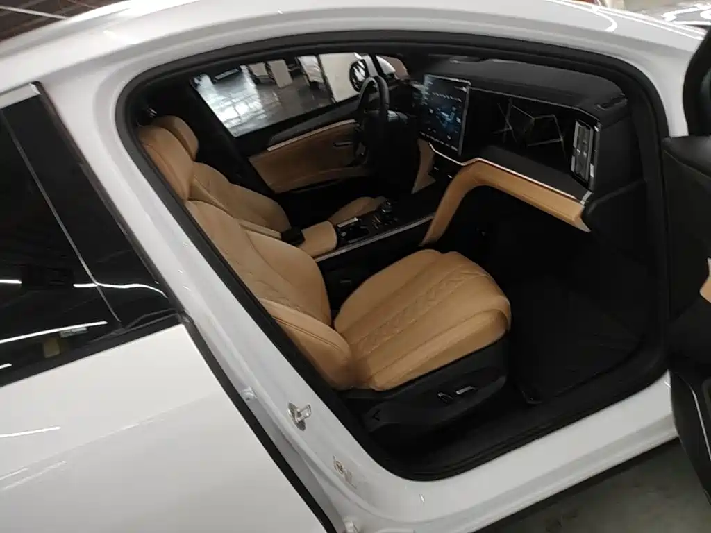 BYD L DM-i 2024 — фото 25