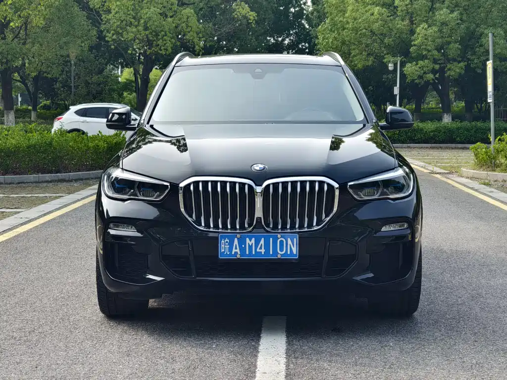 BMW X5 2019
