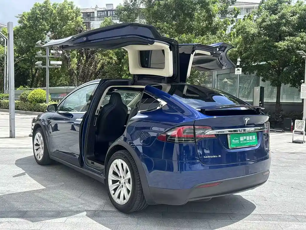 Tesla Model X 2018 — фото 8