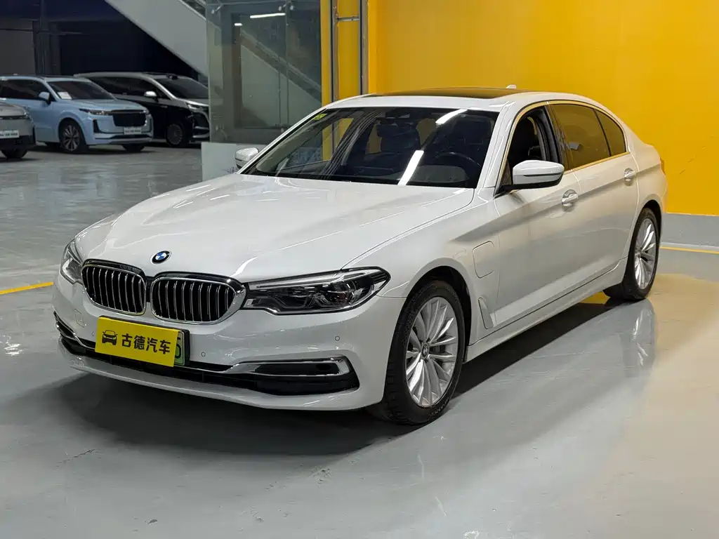 BMW 5 Series New Energy 2020