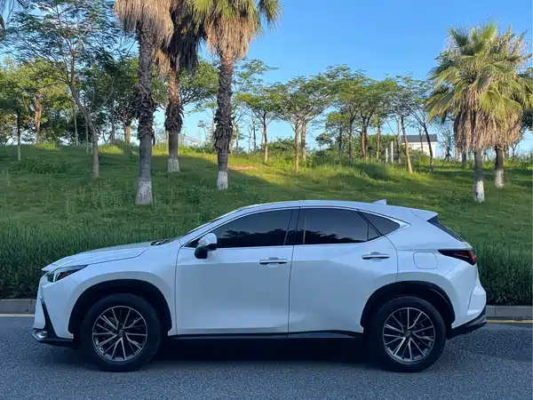 Lexus NX 2022