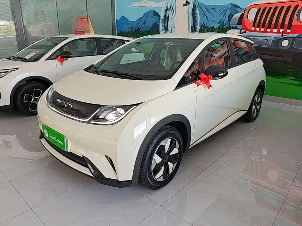 BYD Dolphin 2026