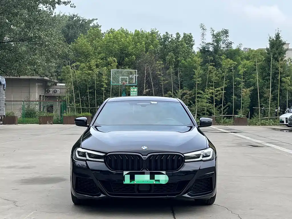 BMW 5 Series New Energy 2022