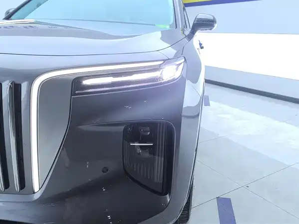 Hongqi E-HS9 2023