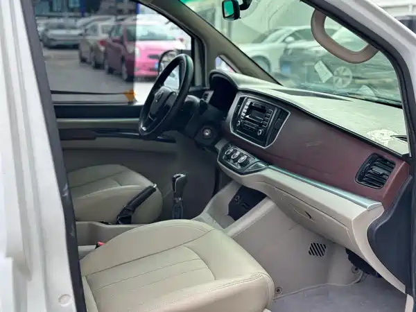 Dongfeng Lingzhi 2019