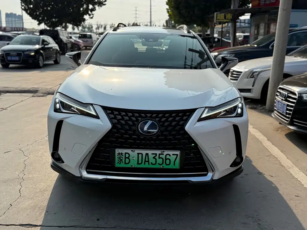 Lexus UX New Energy 2022 — фото 2