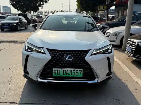 Lexus UX New Energy 2022