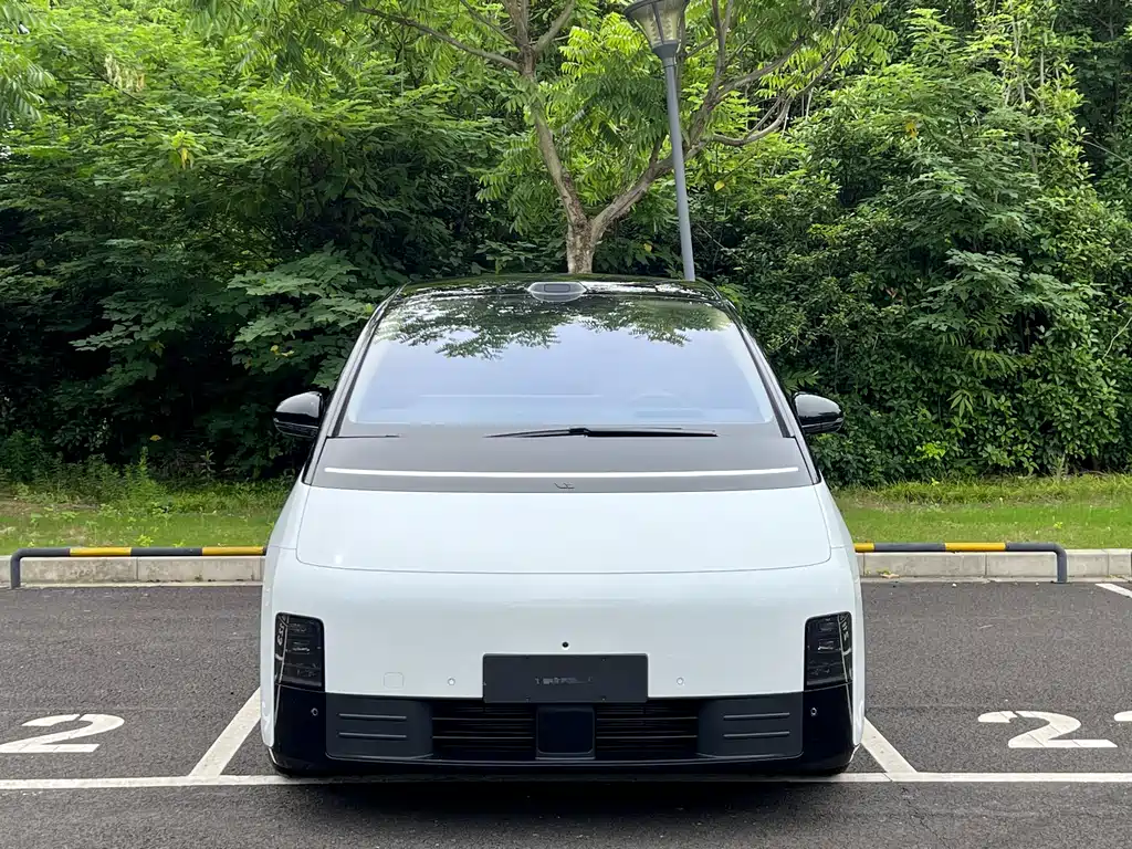 Li Auto Li MEGA 2025