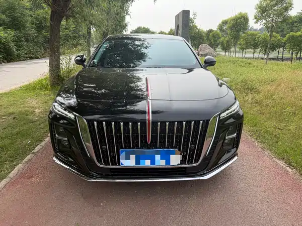Hongqi H5 2025
