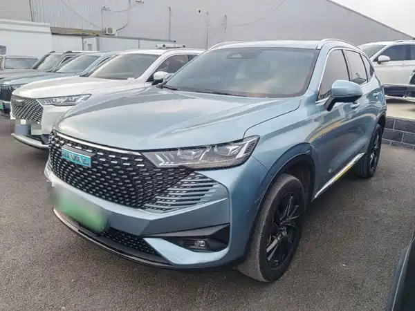 Haval H6 New Energy 2022