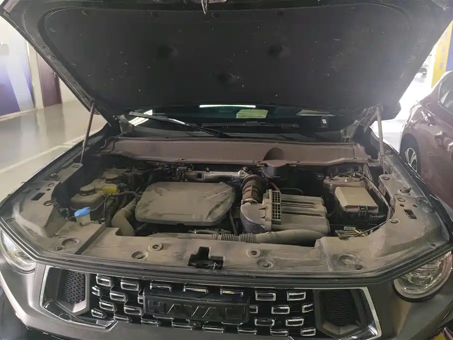 Haval Dargo PLUS EV 2023 — фото 10
