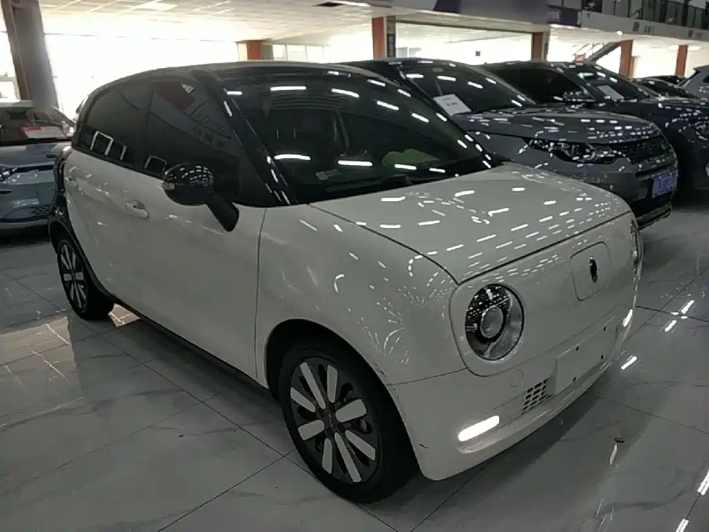 Ora Black Cat 2020
