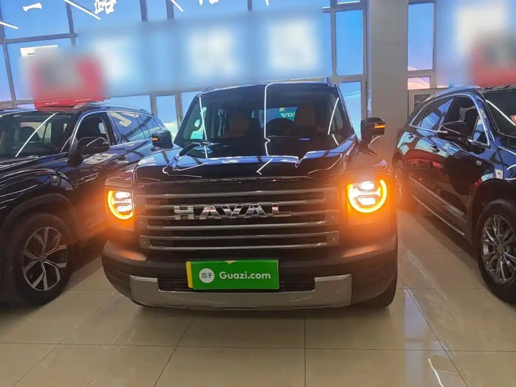 Haval Menglong New Energy 2025