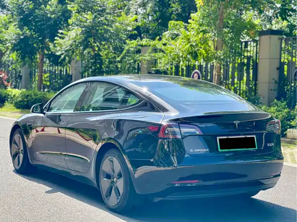 Tesla Model 3 2021