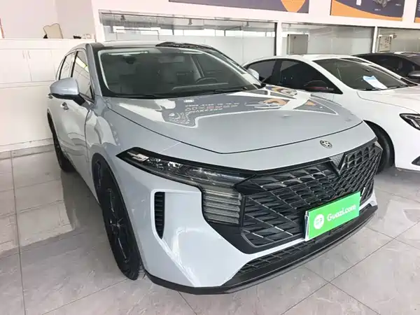 Venucia Big V 2022