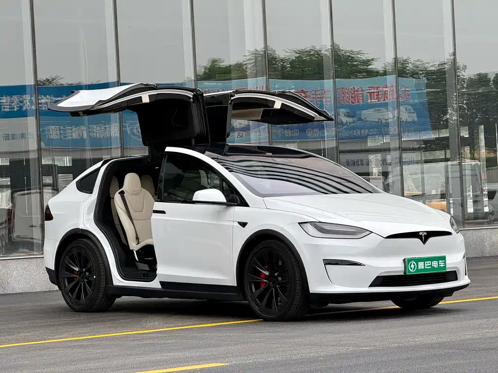 Tesla Model X 2024 — фото 6