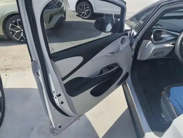 BYD Dolphin 2022
