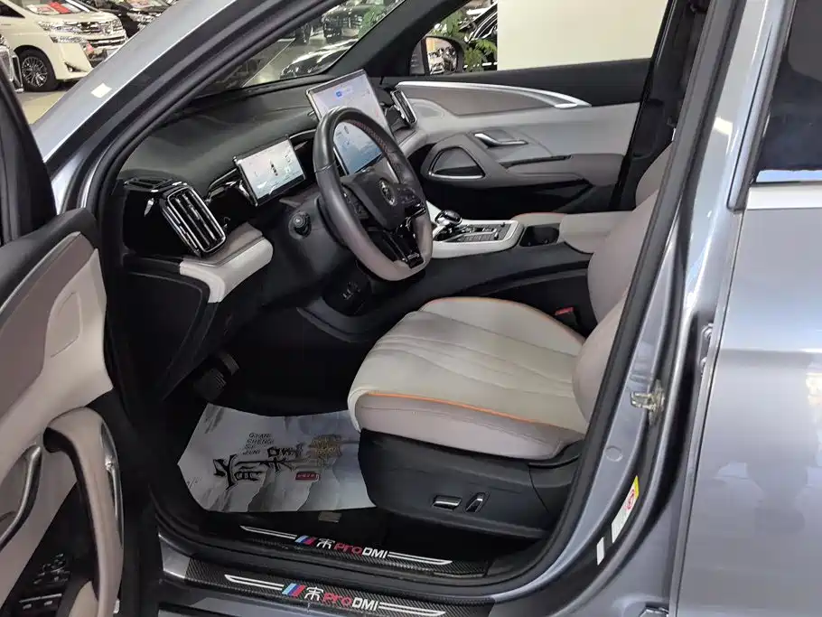 BYD Song Pro New Energy 2024 — фото 9