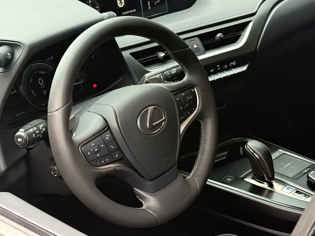 Lexus UX New Energy 2020 — фото 12