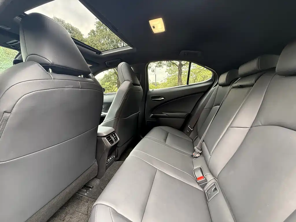 Lexus UX New Energy 2020 — фото 10