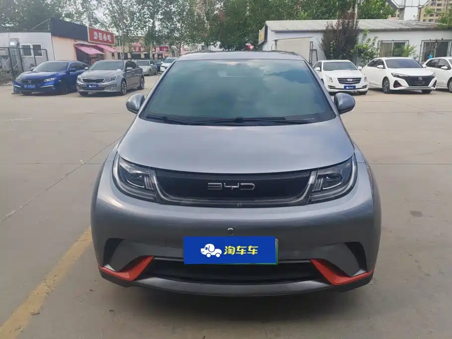 BYD Dolphin 2022