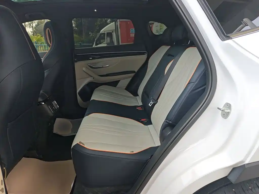 BYD Song PLUS New Energy 2022 — фото 17